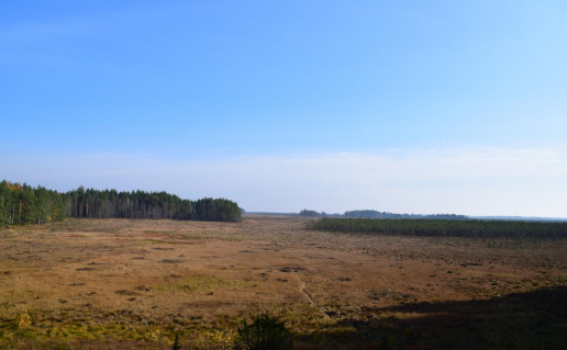 Čepkelių mokomasis takas.jpg